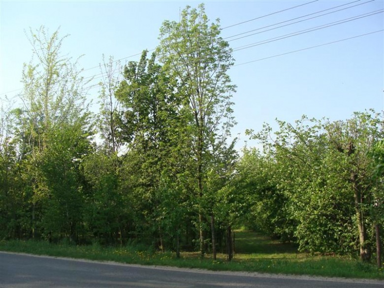 powrót